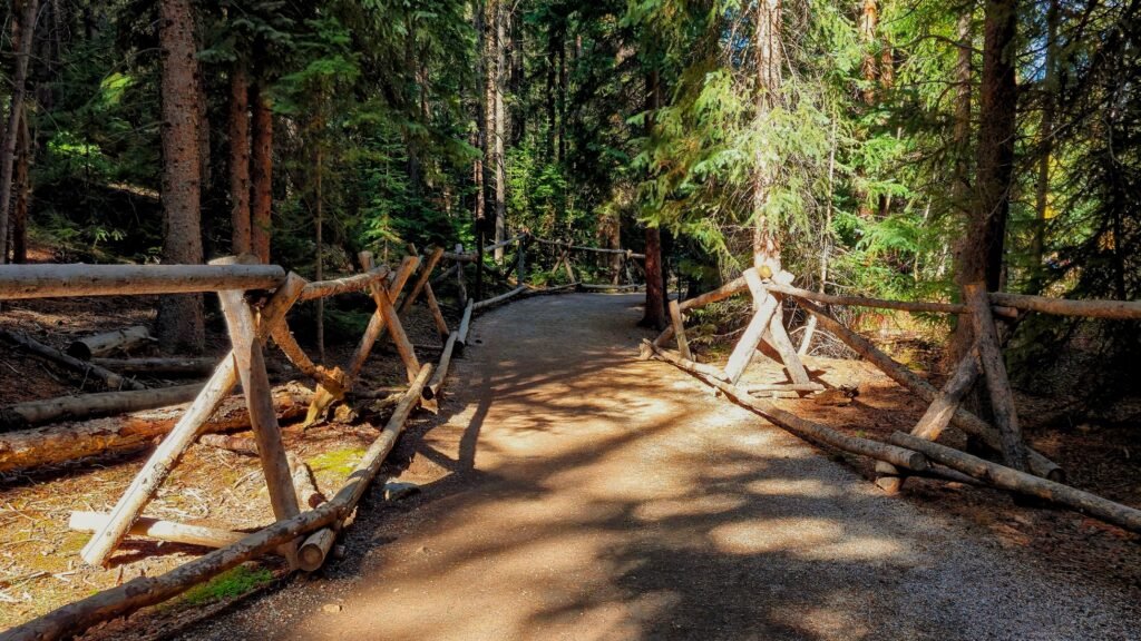 Having the right trail day essentials can make the hike so much more enjoyable!