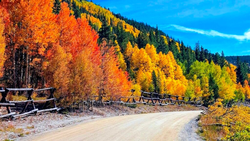 French Gulch Road in Breckenridge, CO in the fall.